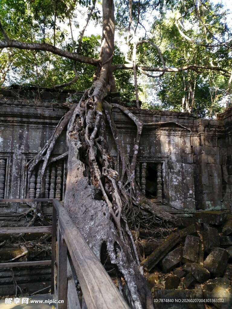 古老庙宇被树根缠绕景象