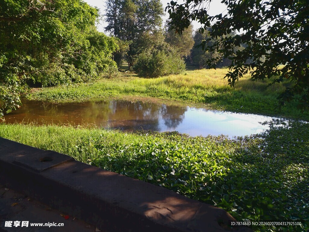 宁静湖畔绿意盎然的景致