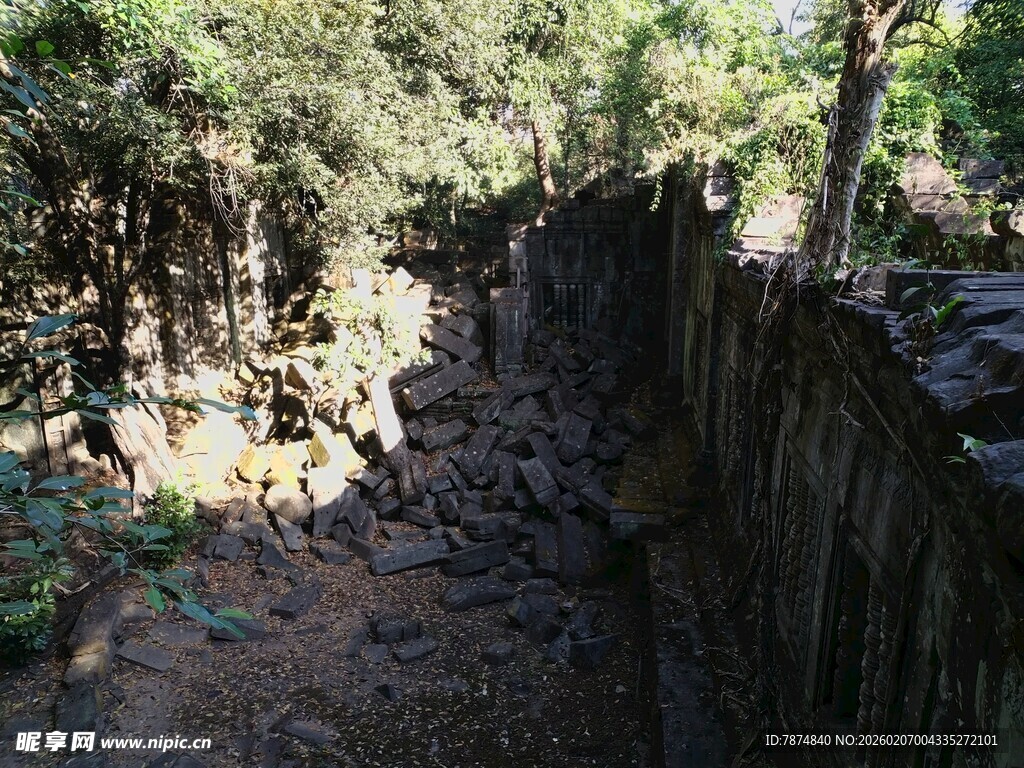 古老石墙旁的繁茂树林