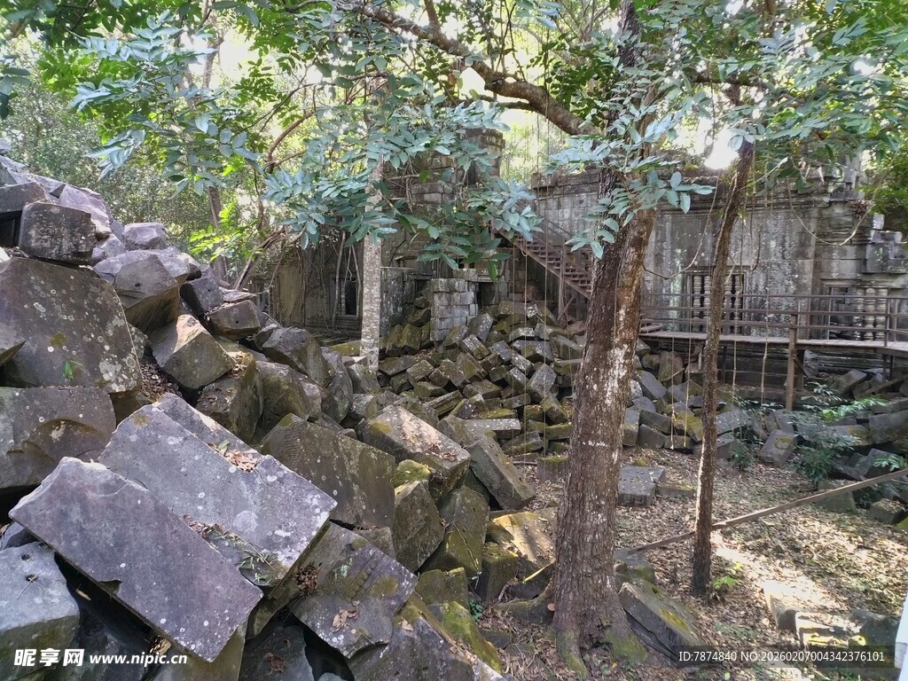 林间石堆 自然静谧之景