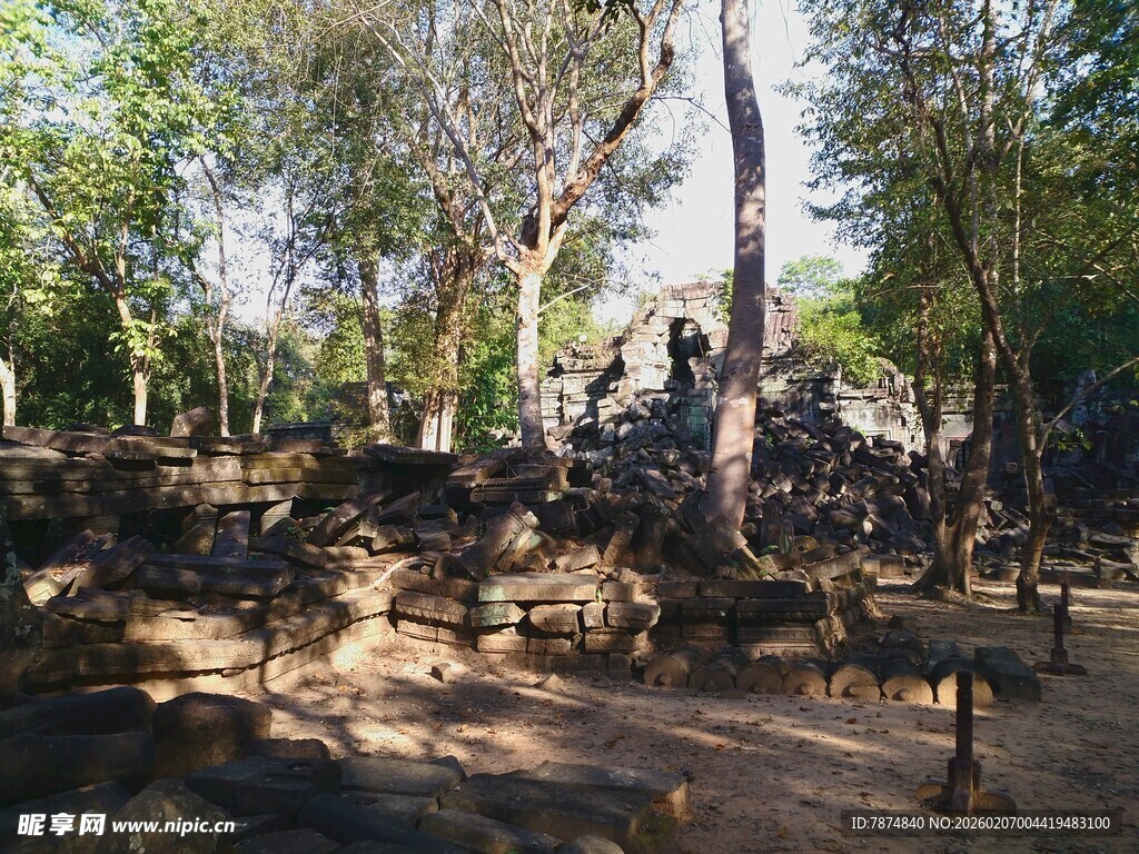 古老废墟中的静谧树林