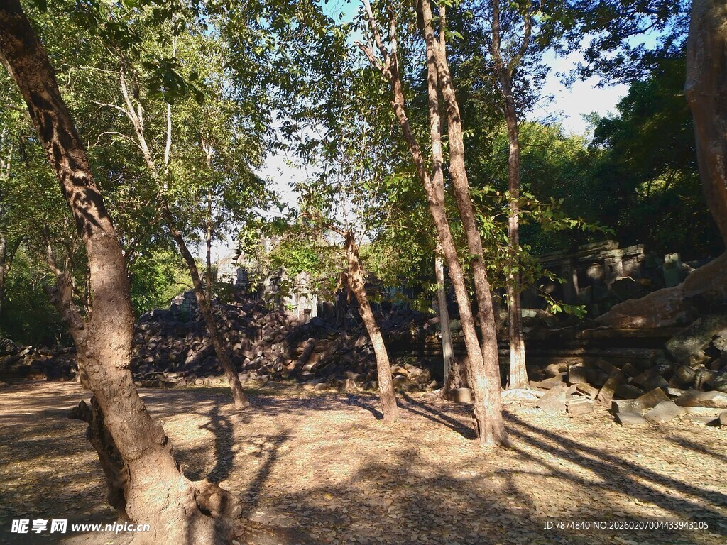 林间小道 静谧自然景致