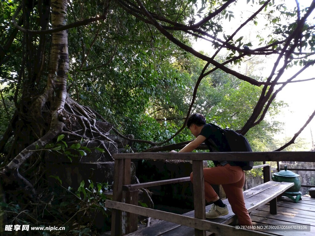 女子于繁茂树林中休闲观景