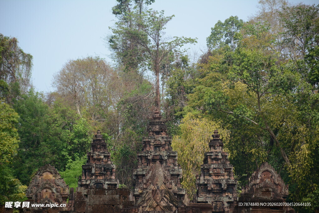 古老寺庙隐于茂密丛林中