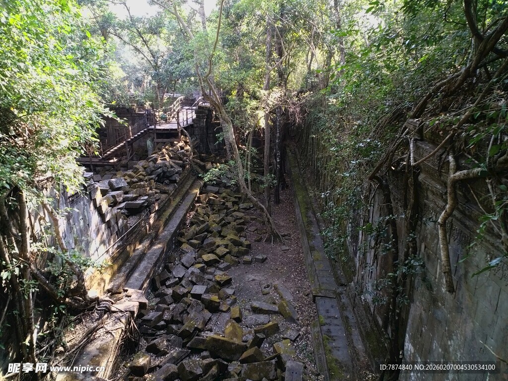 废弃铁轨 绿植环绕的静谧之地
