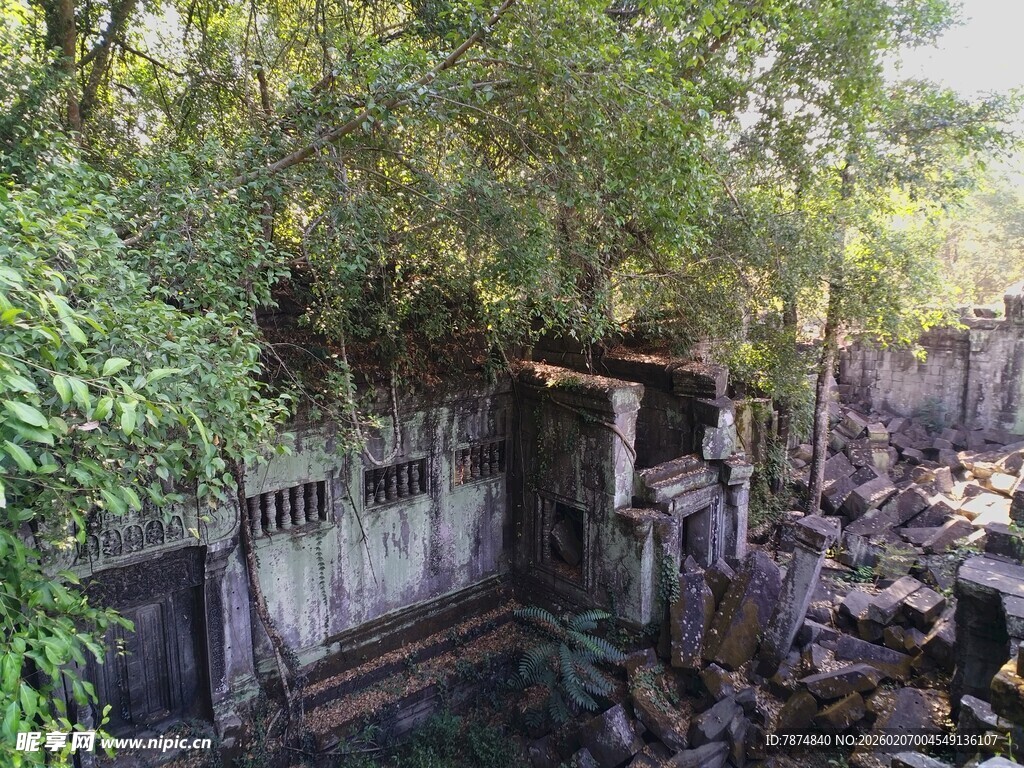 柬埔寨废弃石屋隐于繁茂绿植中
