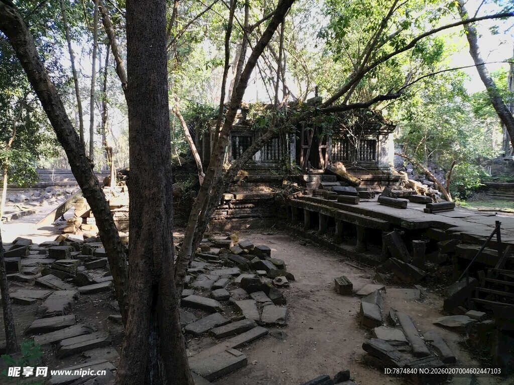 柬埔寨林间废墟景象