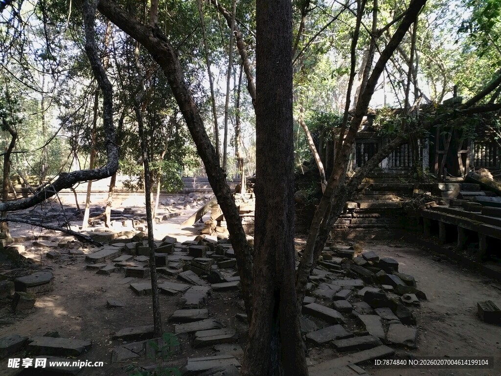 柬埔寨林间散落石块的静谧场景