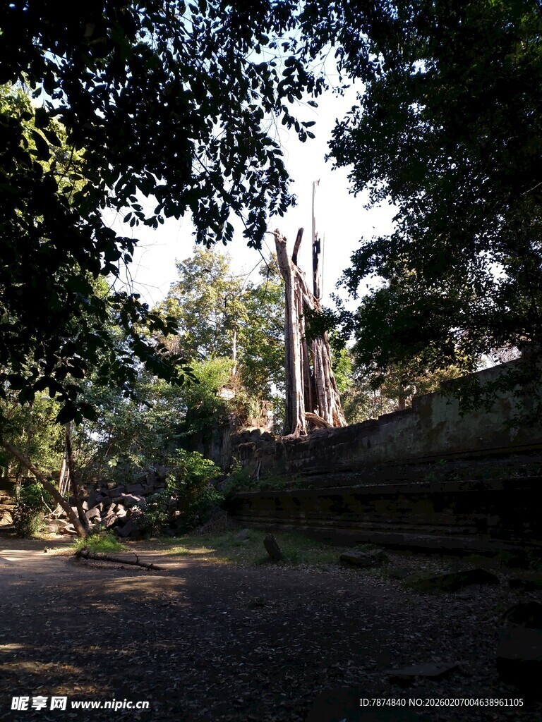 柬埔寨林间静谧小道 自然景致