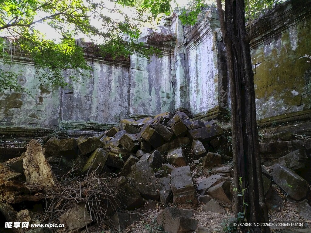 柬埔寨废弃建筑内的自然生长景象