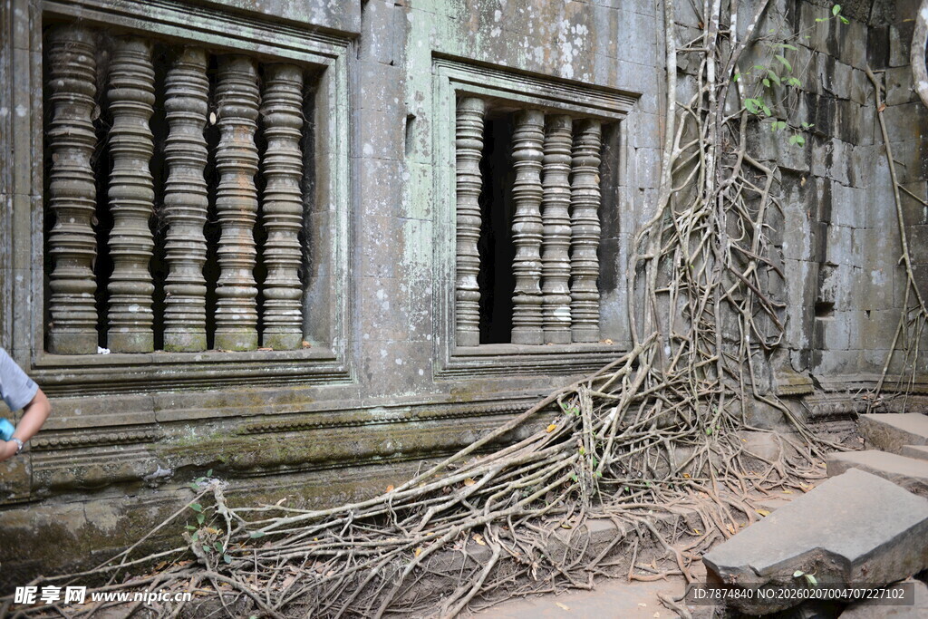 柬埔寨古老寺庙被树根缠绕的景象