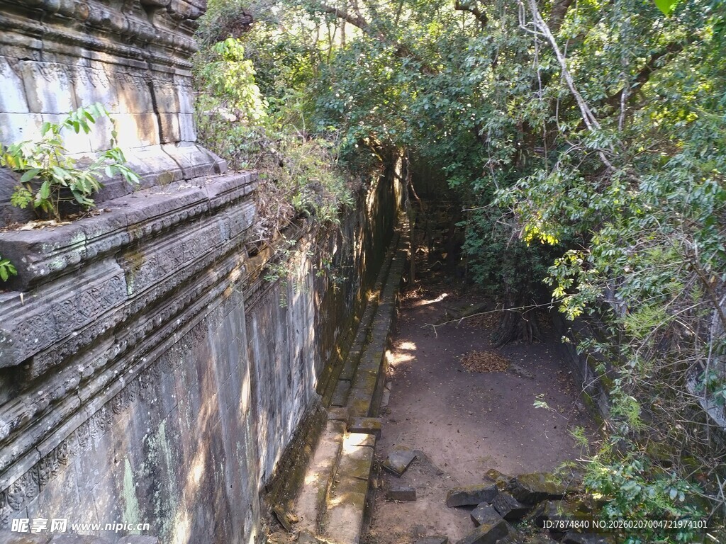 柬埔寨古老石墙旁的林间小径