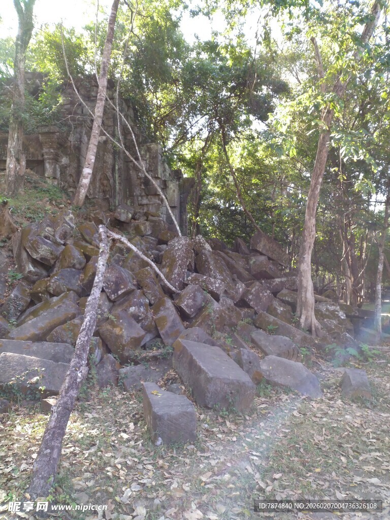 柬埔寨林间小径旁的岩石与树木