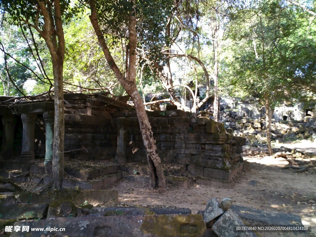 柬埔寨古老树林中的石砌遗迹