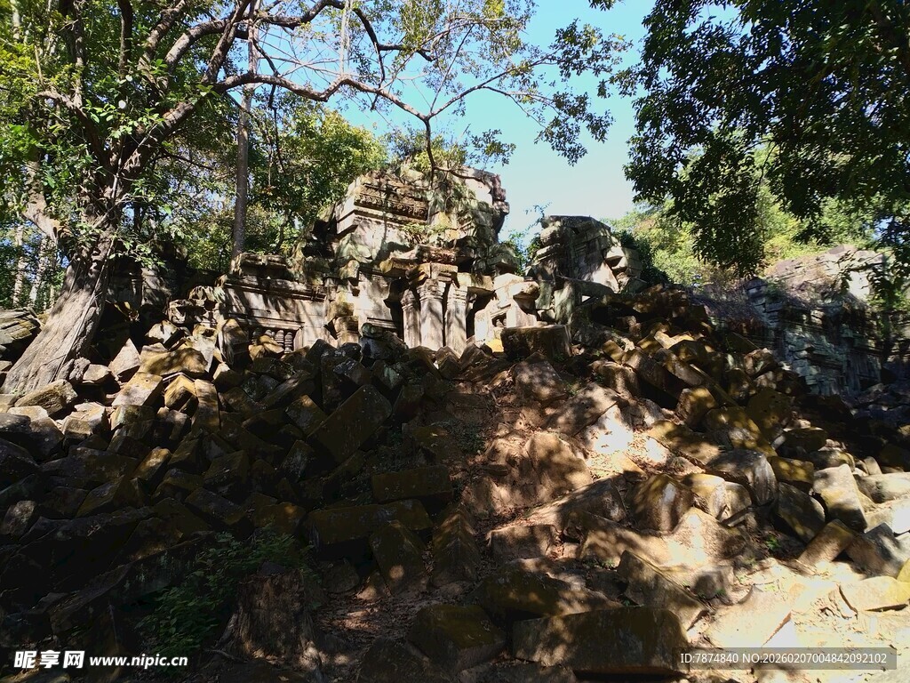 柬埔寨林间光影斑驳的自然景致