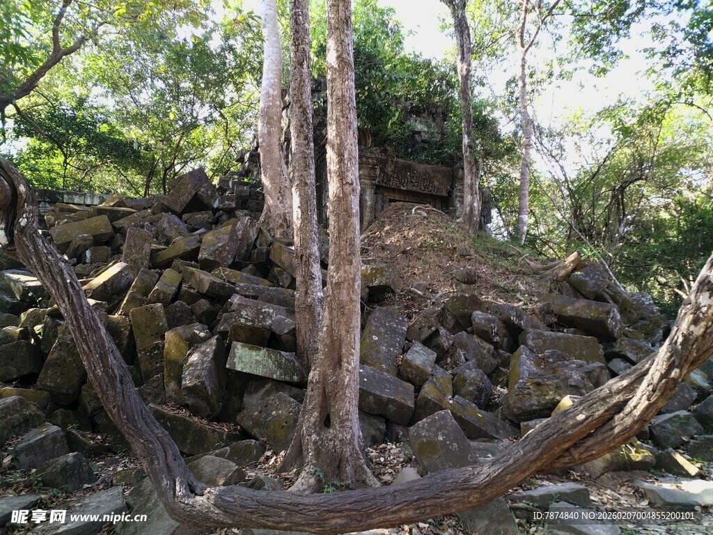柬埔寨山间枯木与石堆景观
