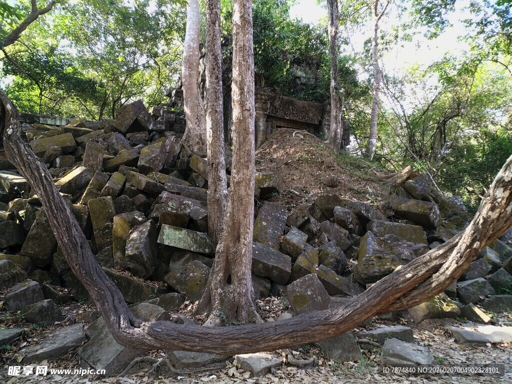 柬埔寨古老船锚静置于丛林之中
