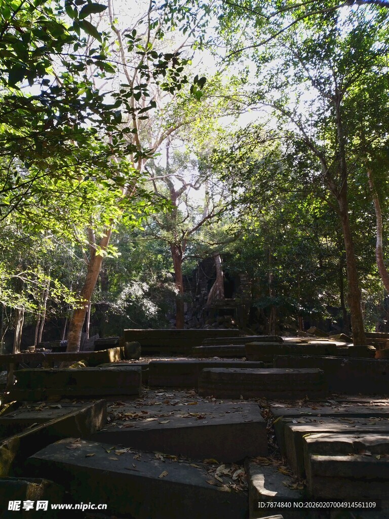 柬埔寨森林中的古老石阶遗迹