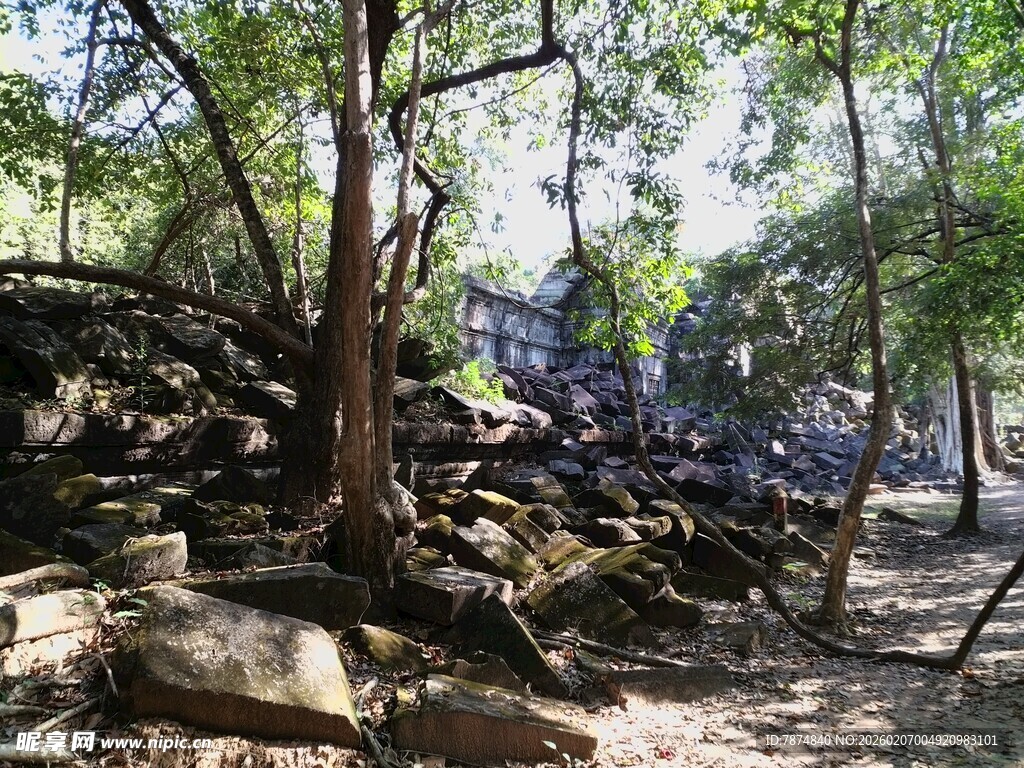 柬埔寨丛林中古老的石堆与树木