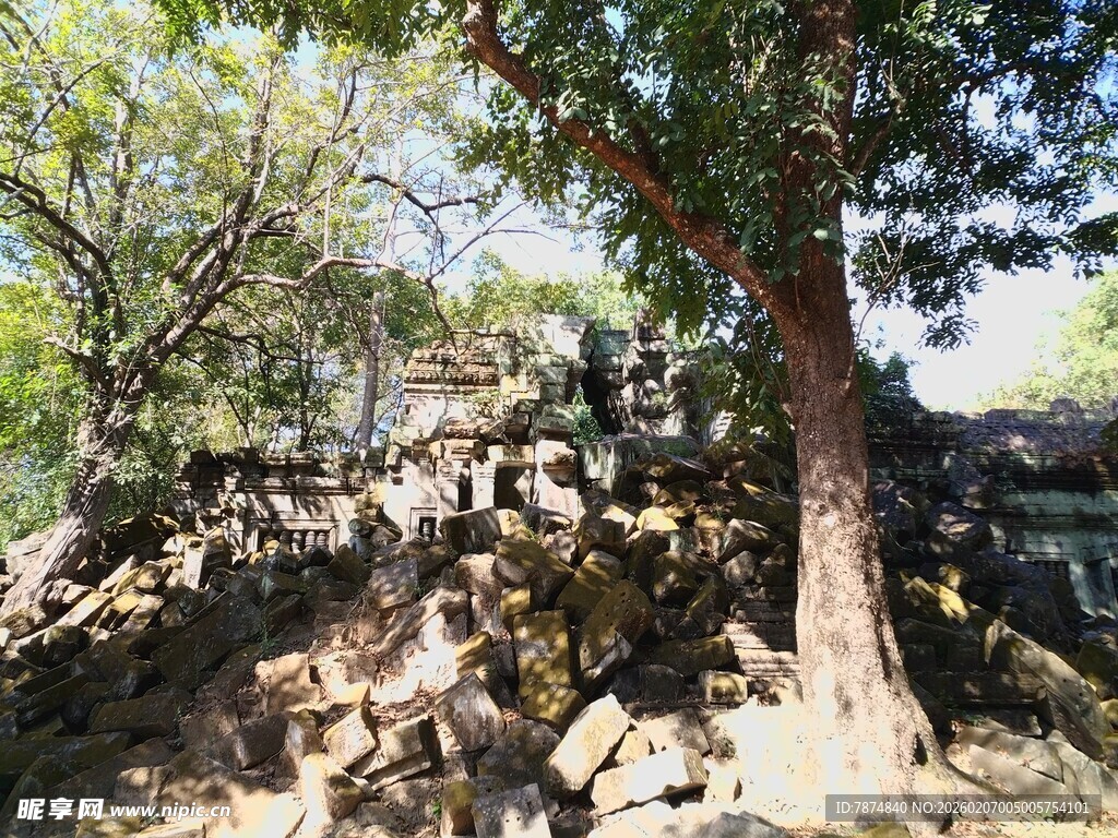 柬埔寨古老石堆旁的茂盛树木