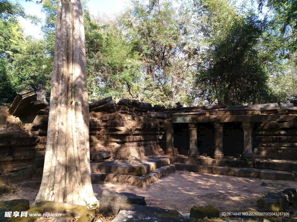 柬埔寨古老树林中的神秘石砌建筑