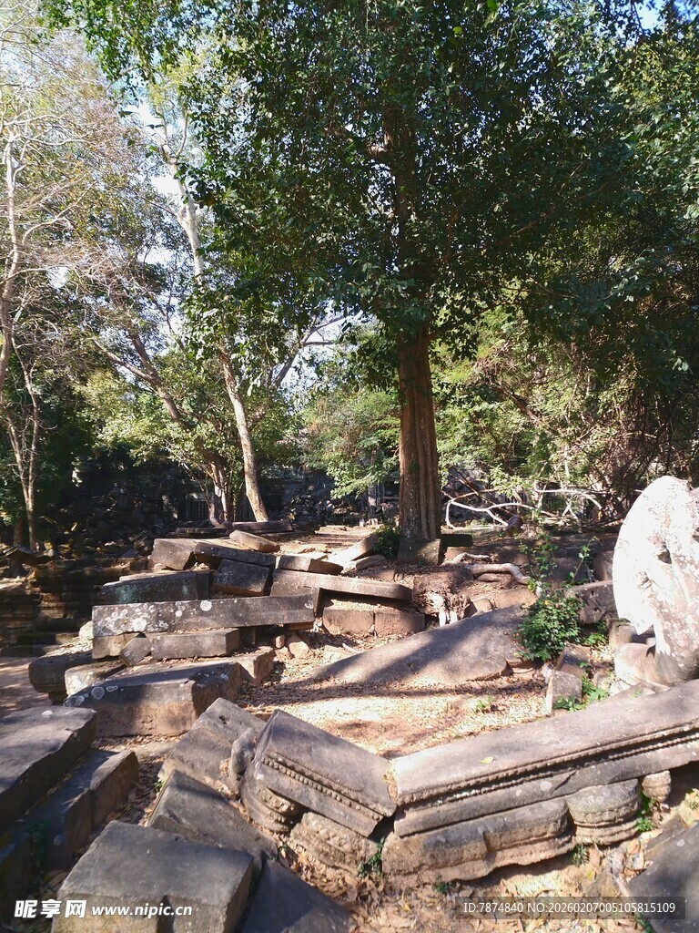 柬埔寨户外堆放的废旧木材