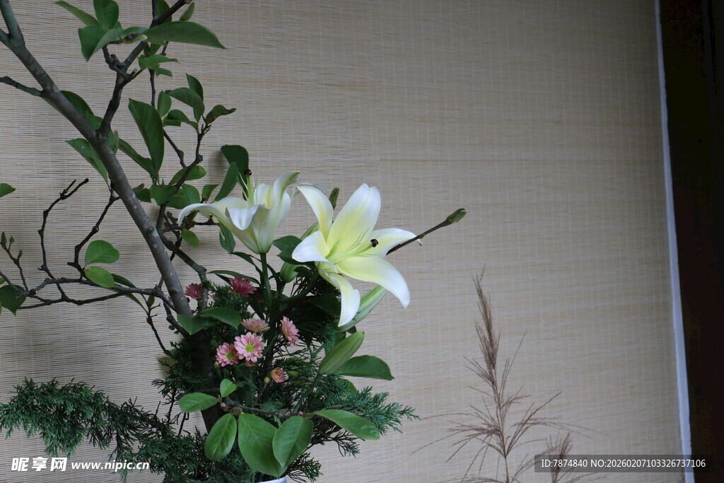 雅致白色花卉盆栽