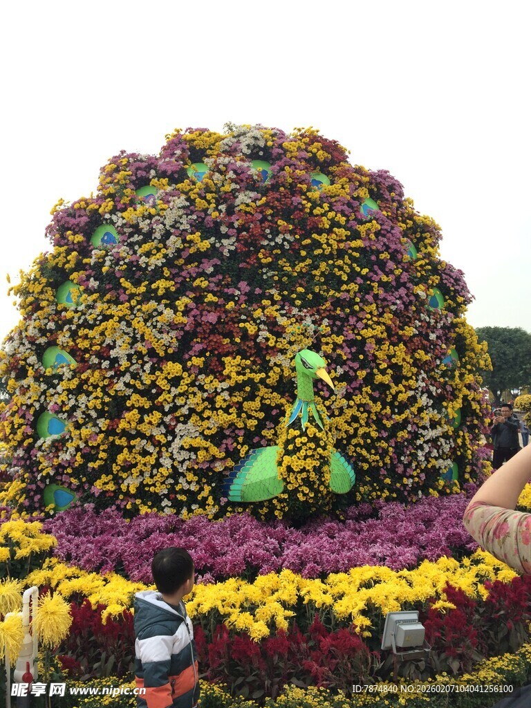 多彩花卉组成的创意景观