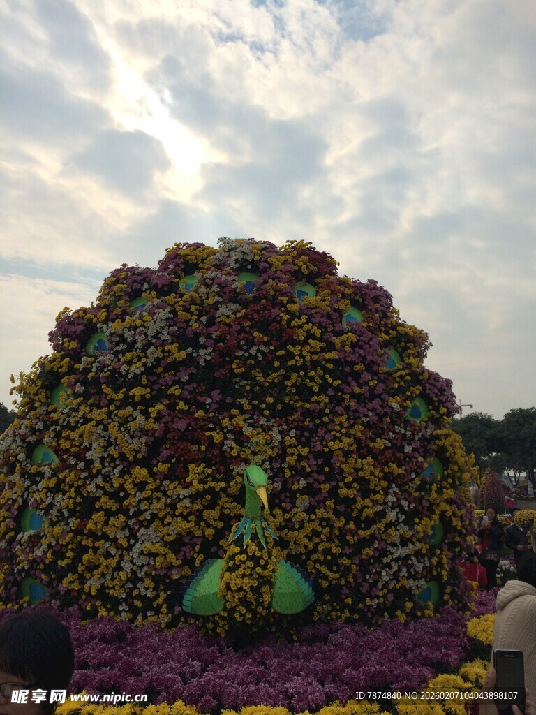 巨型花卉景观造型