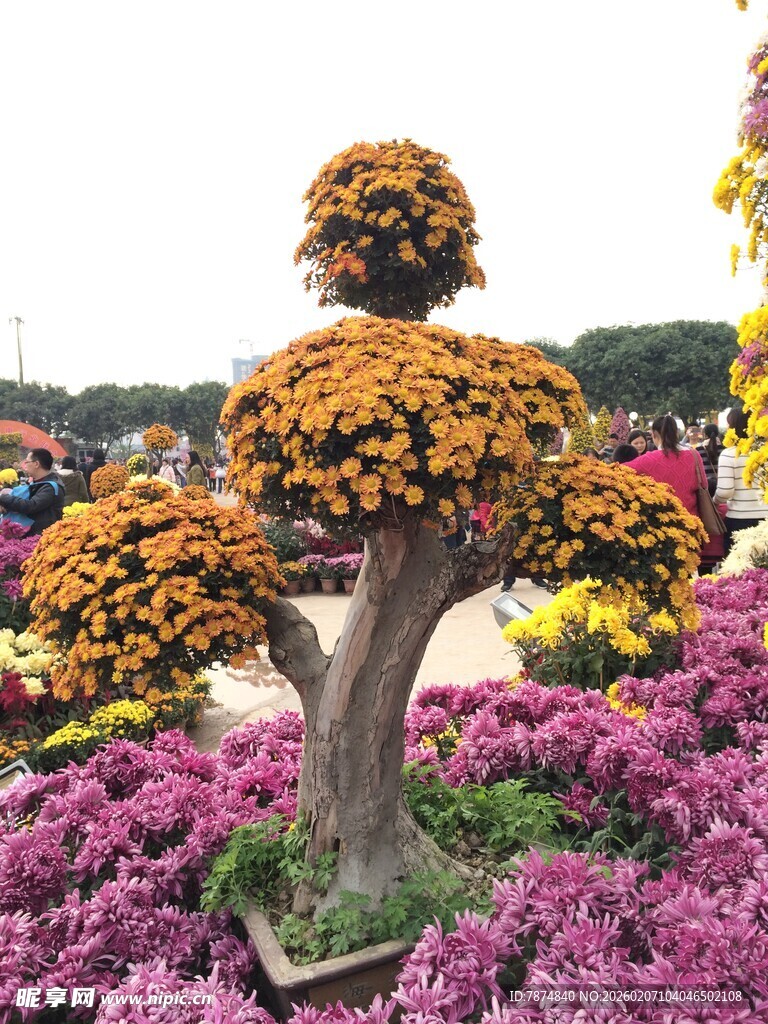 菊花造型景观 色彩绚丽