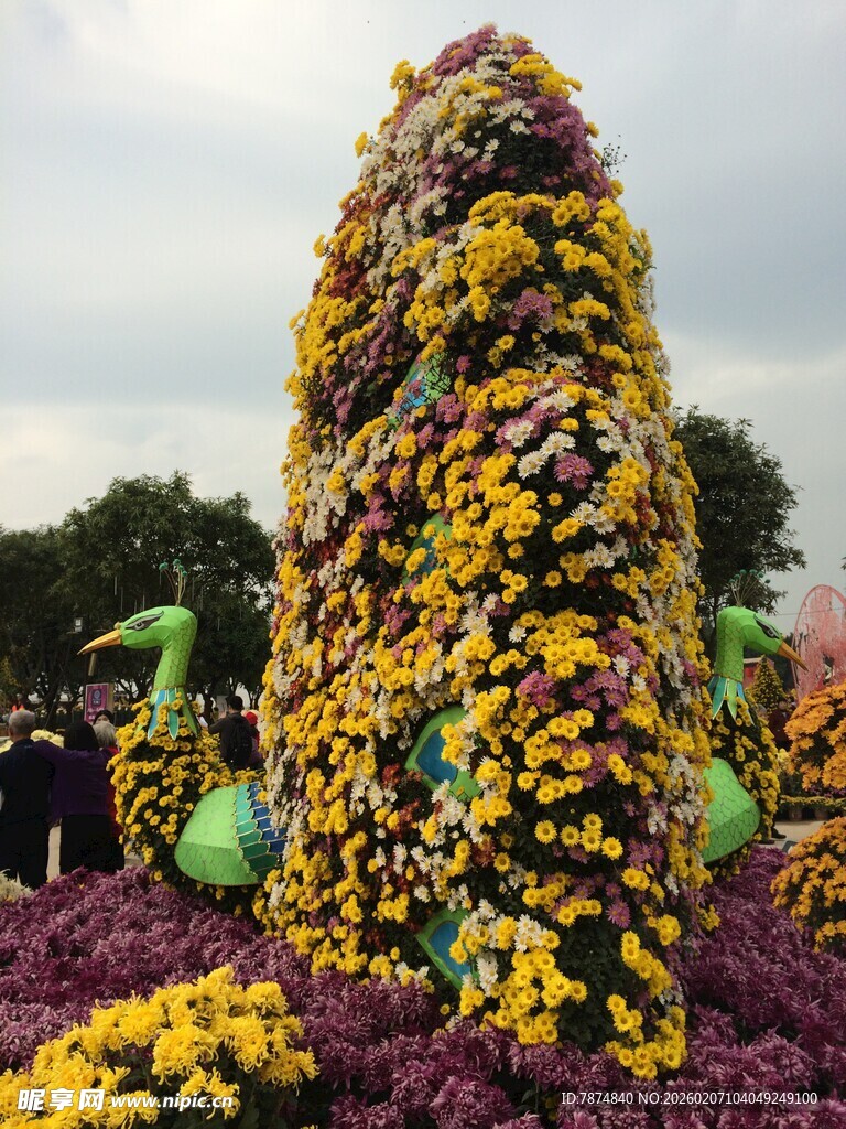绚丽多彩花卉造型景观