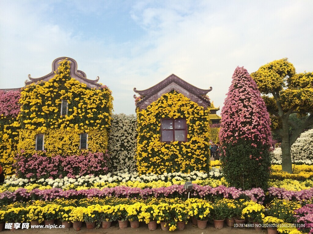 缤纷花卉装点的美丽景致