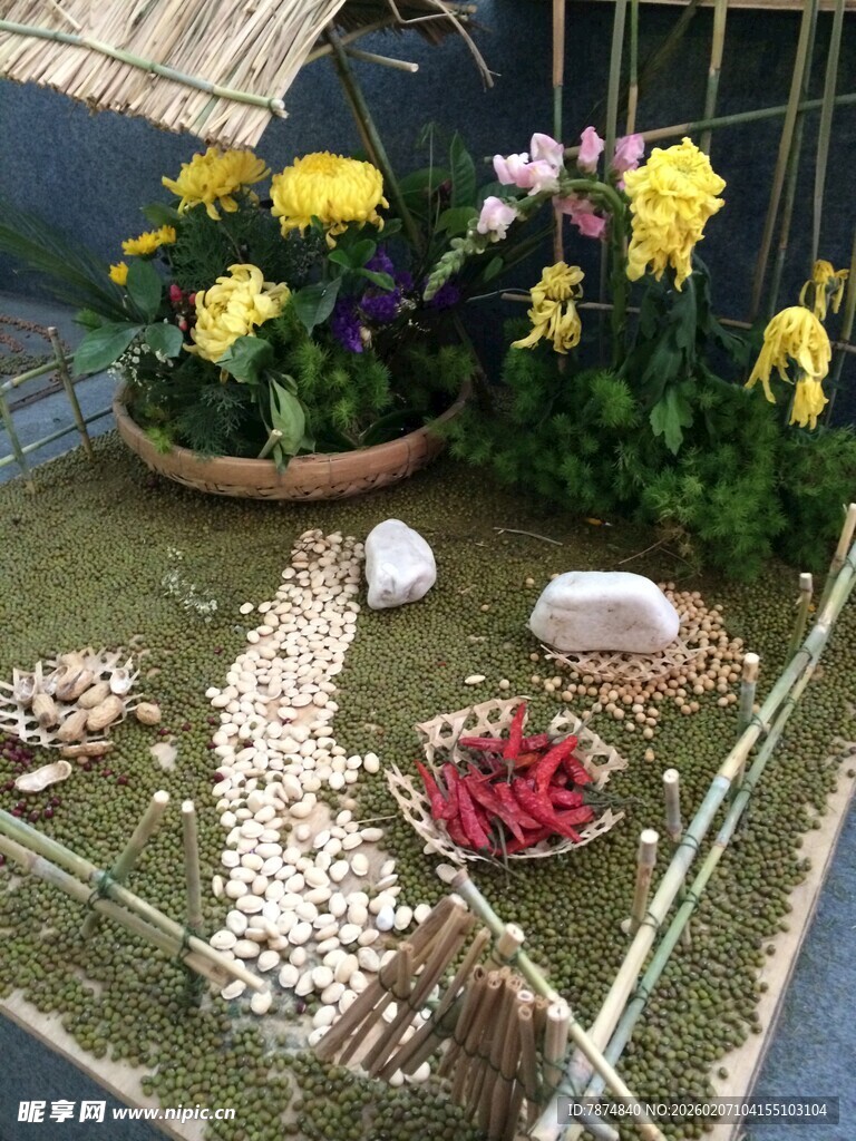 精致盆栽与多样园艺装饰