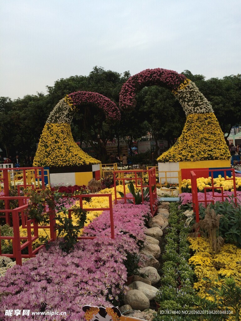 心形花卉景观 色彩绚丽