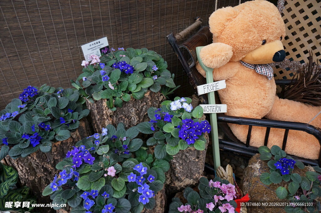 泰迪熊伴多彩花卉景观