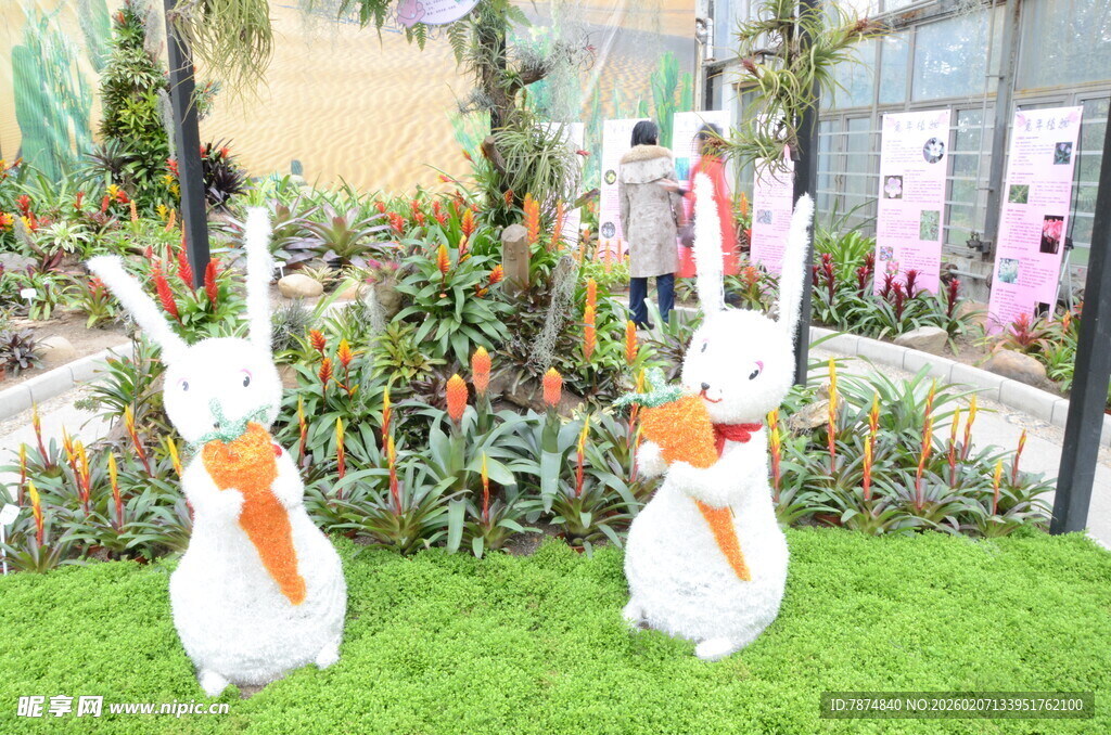 草地上的可爱兔子装饰