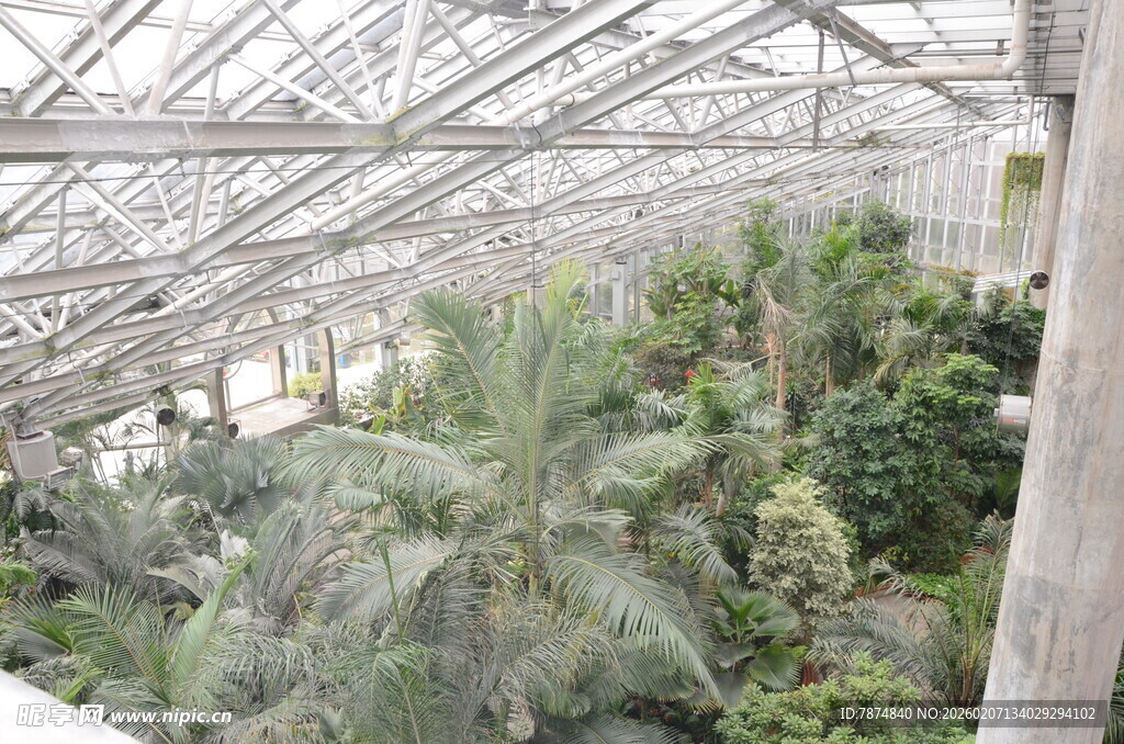 温室中的多样绿植景观
