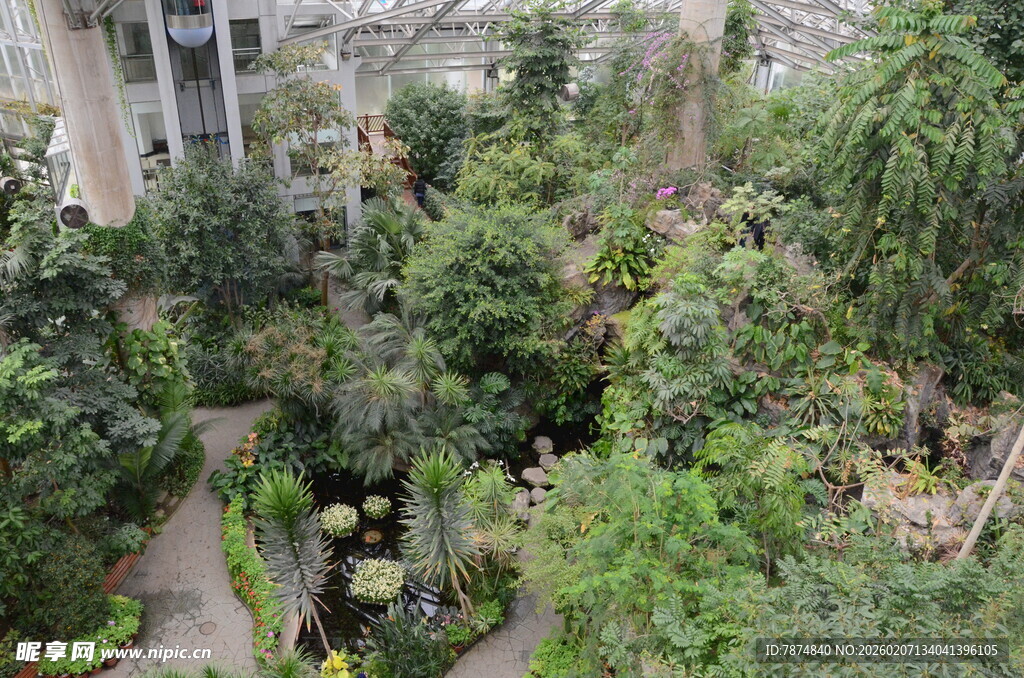 室内绿植景观 生机盎然