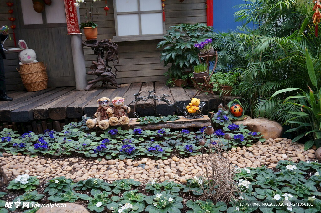 庭院角落的多彩植物景观