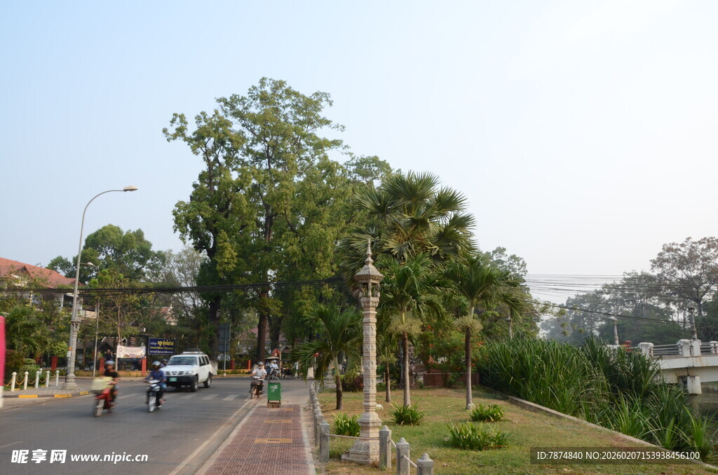 城市街道旁的绿树与车辆