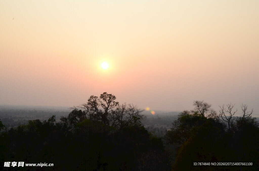 日落时分的树梢景象
