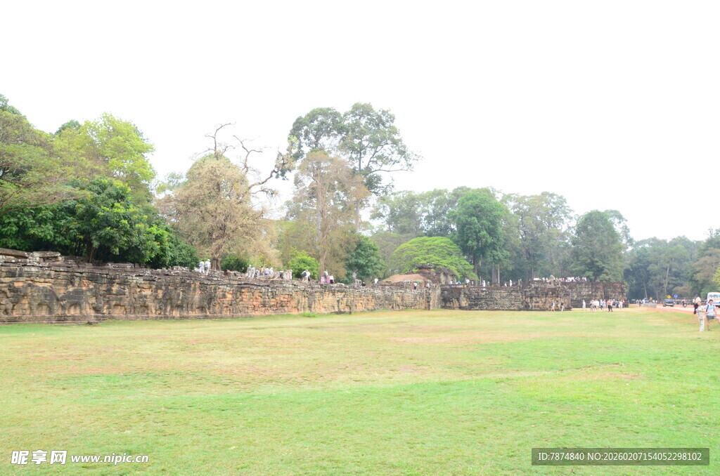 户外草地与远处树木景观