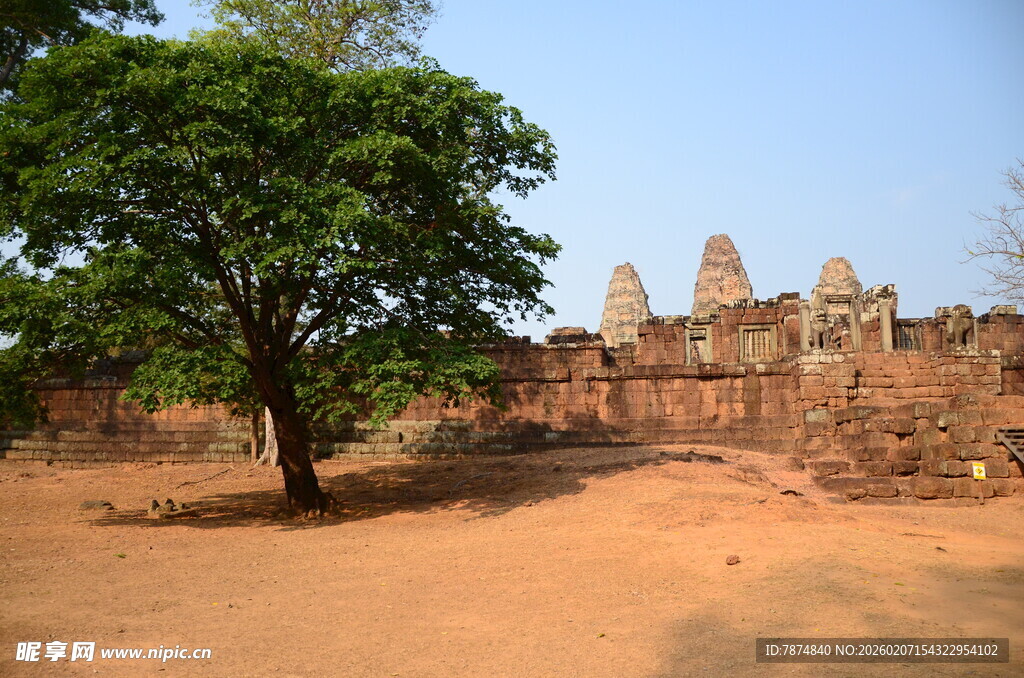 古老庙宇旁的绿树