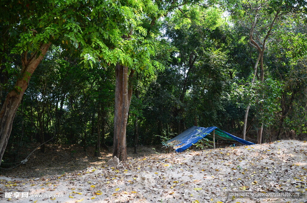 森林中的露营帐篷