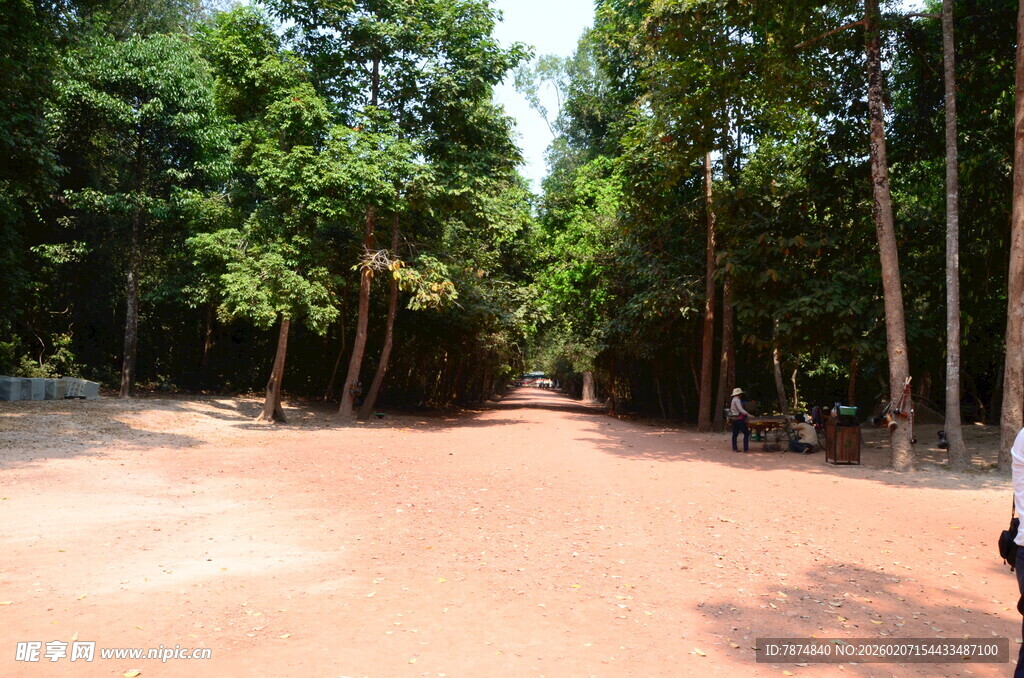 林间红土路 静谧自然景