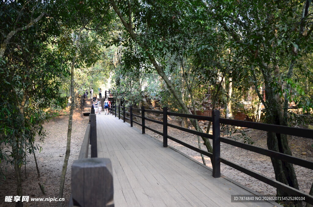 林间木道 静谧自然景致