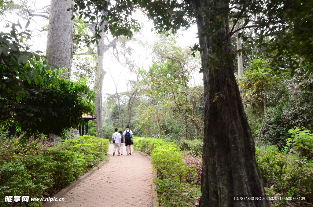 林间漫步小径上的行人