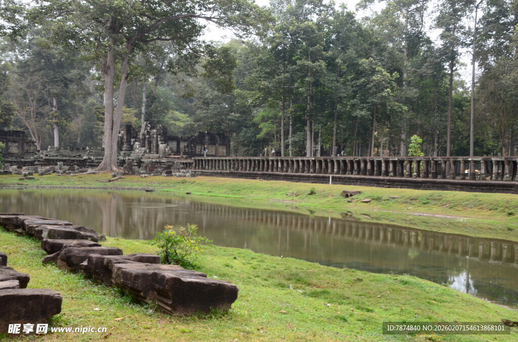 古老池塘边的静谧风景