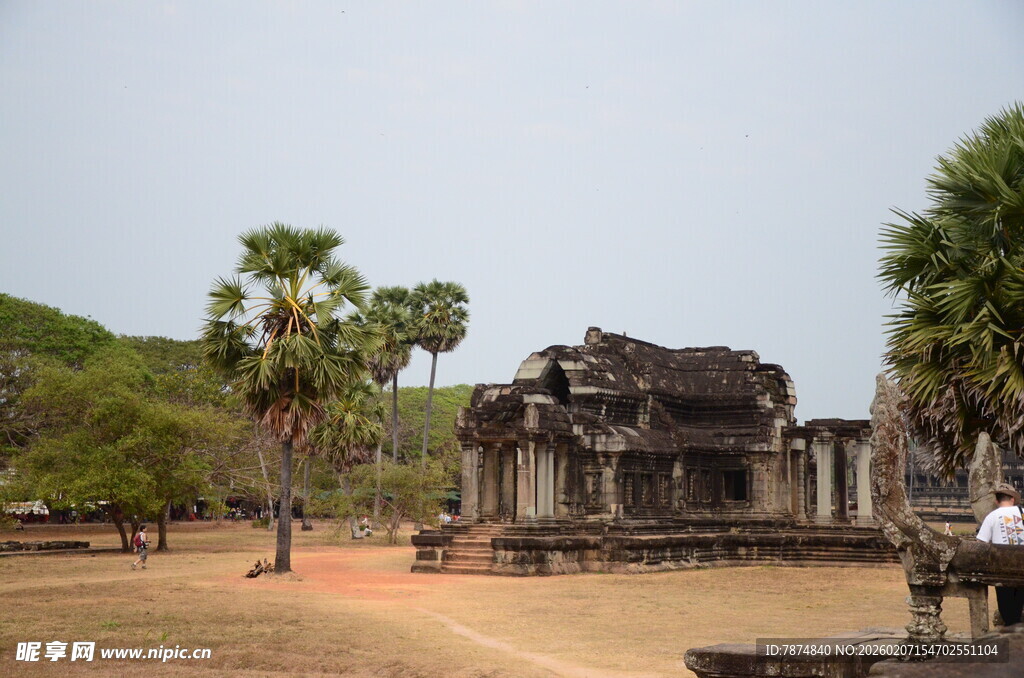 古老寺庙与周边棕榈树景观