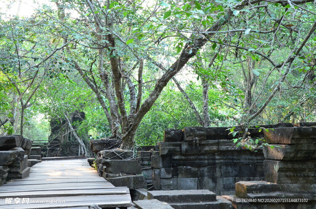 古遗址中繁茂树木与栈道